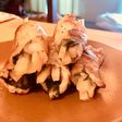 大根の皮で②!大根と大葉の肉巻き