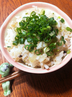 やみつき!ネギ飯&青唐ネギ飯-レシピのメイン写真
