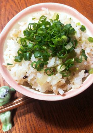 やみつき！ネギ飯&青唐ネギ飯-レシピのメイン写真