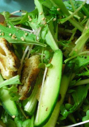 【簡単サラダ】焼き油揚げと水菜のサラダ-レシピのメイン写真