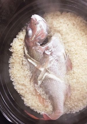 土鍋で鯛飯！-レシピのメイン写真