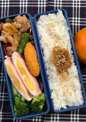 20200206マイ弁当-レシピのメイン写真