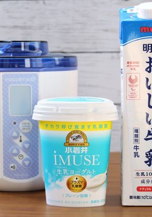 小岩井iMUSEを使って自家製ヨーグルト-レシピのメイン写真