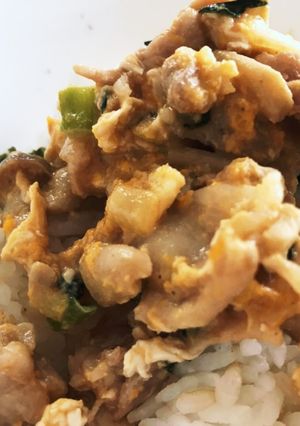 簡単 豚丼 幼児 お弁当にも-レシピのメイン写真