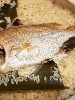 土鍋で鯛めし-レシピのメイン写真