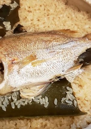 土鍋で鯛めし-レシピのメイン写真