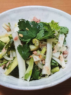 セロリとパクチーのもぐもぐサラダ-レシピのメイン写真