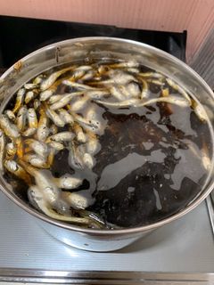 暖かい蕎麦、うどん用つゆ-レシピのメイン写真