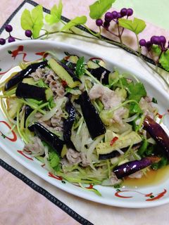 揚げなすと牛肉のエスニックサラダ-レシピのメイン写真