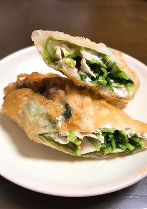 豆苗とささみの春巻き-レシピのメイン写真