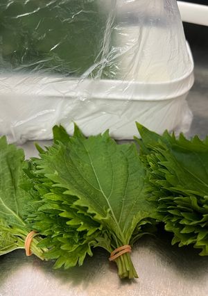 大葉の大量保存に（超〜長持ちします♪）-レシピのメイン写真
