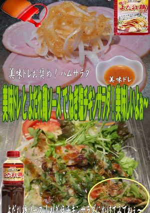 美味ドレよだれ鶏ソースねぎ塩チキンサラダ-レシピのメイン写真