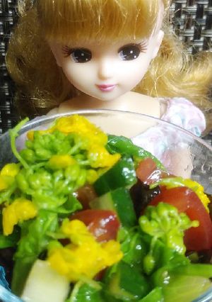 リカちゃん♡菜の花レタス胡瓜トマトサラダ-レシピのメイン写真