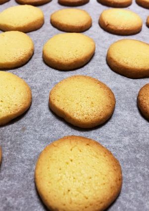 美味しい♪ボックスクッキー-レシピのメイン写真