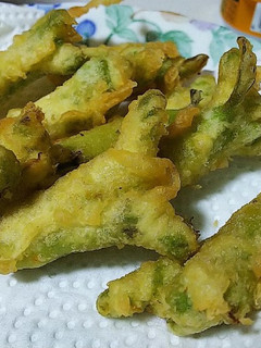 たらの芽の天ぷら-レシピのメイン写真