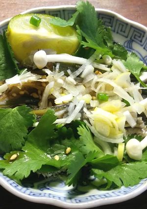 SDGs 出し殻煮干し&昆布×パクチー-レシピのメイン写真