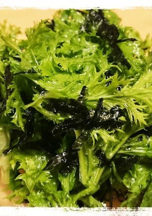 刻み海苔まみれのわさび菜のサラダ-レシピのメイン写真