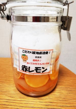 赤いレモンの酵素ジュース-レシピのメイン写真