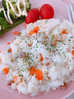 炊飯器一発 ガリコンピラフ!-レシピのメイン写真