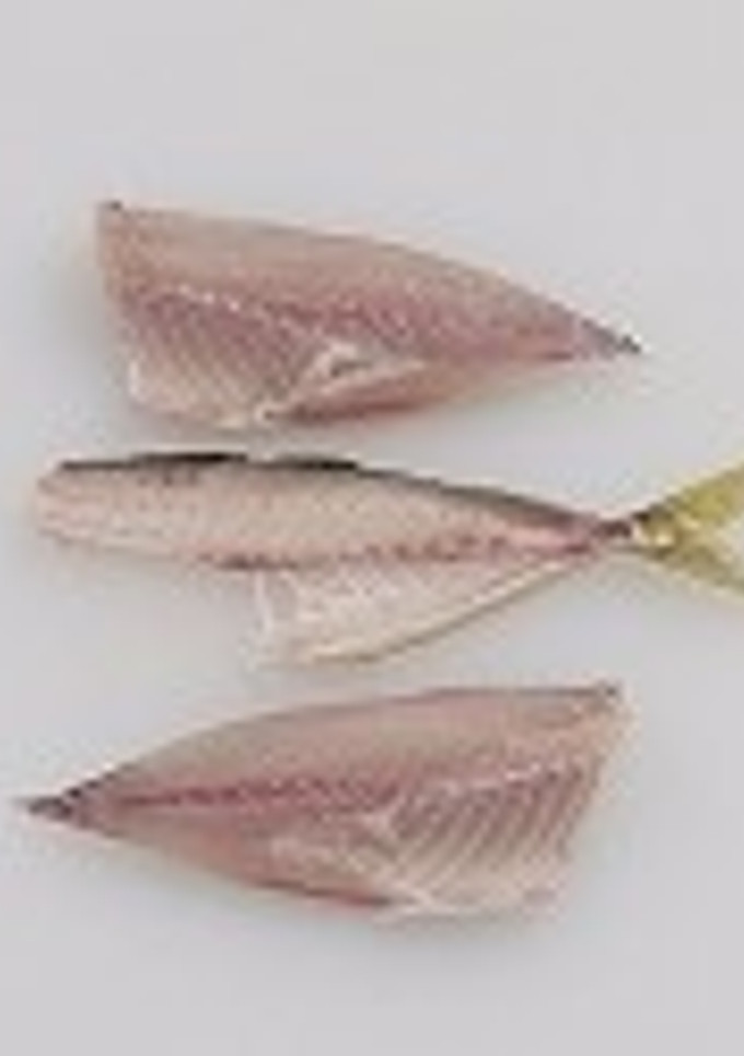 魚のさばき方（３枚おろし）-レシピのメイン写真