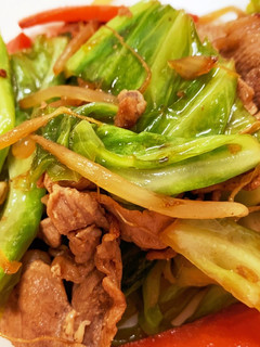 肉野菜炒め-レシピのメイン写真