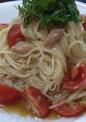 すし酢でさっぱりそうめん☆-レシピのメイン写真