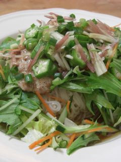 ねばねば☆ぶっかけそうめん-レシピのメイン写真