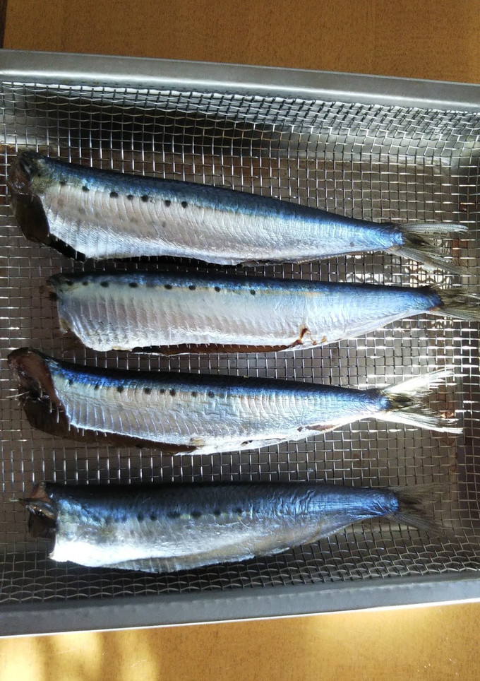 いわしの塩焼き-レシピのメイン写真