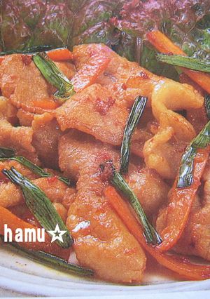 ☆スタミナ満点☆豚肉焼き-レシピのメイン写真