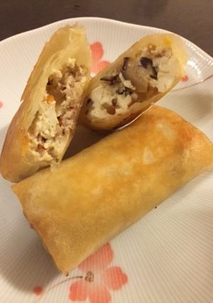 豆腐の春巻き-レシピのメイン写真