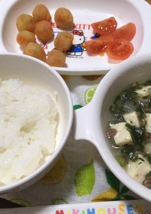 10ヶ月☆ごはん 麻婆豆腐 茶巾 トマト-レシピのメイン写真