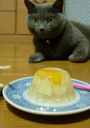 缶詰寒天！！-レシピのメイン写真