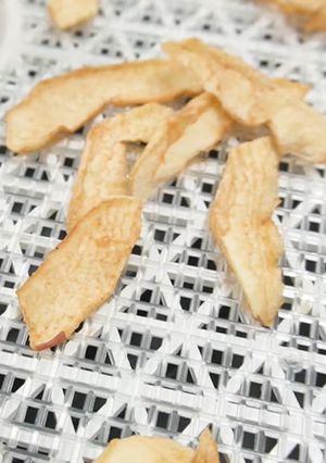 [ドライフルーツ りんご] 食品乾燥機-レシピのメイン写真