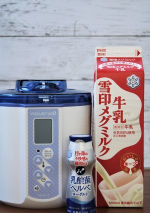 「乳酸菌ヘルベ」で簡単！自家製ヨーグルト-レシピのメイン写真