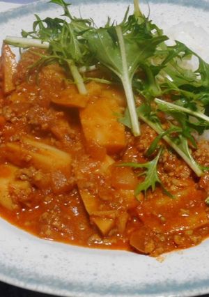 シャキシャキれんこんのキーマカレー-レシピのメイン写真