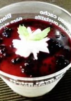 ヨーグルト風味のレアチーズケーキ-レシピのメイン写真