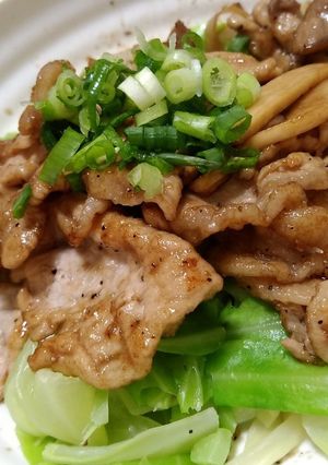 豚肉とキャベツのあっさりこってり盛り-レシピのメイン写真