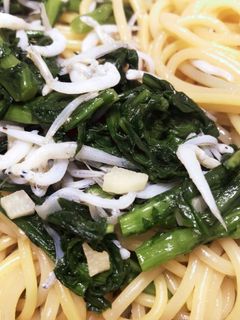 しらすと春菊の和風パスタ-レシピのメイン写真