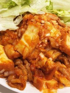 辛くない!簡単!豚と厚揚げのエビチリ風-レシピのメイン写真