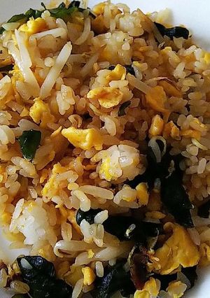 わかめ炒飯-レシピのメイン写真
