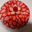 いちごたっぷりドームケーキ(ズコット)