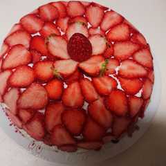 รูปของ いちごたっぷりドームケーキ(ズコット)