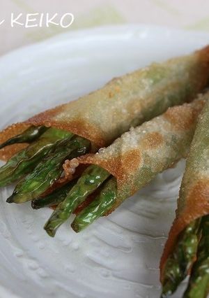 サヤインゲンの包み揚げ-レシピのメイン写真