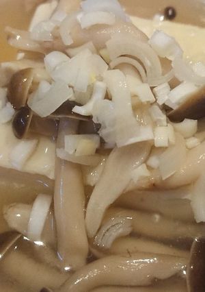 白だしだけあんかけ豆腐-レシピのメイン写真