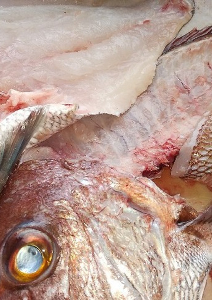 魚の三枚おろし(鯛)-レシピのメイン写真
