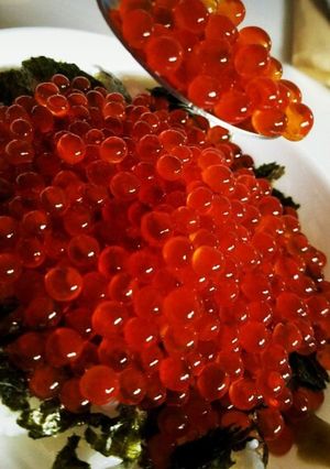 いくらの醤油漬け-レシピのメイン写真