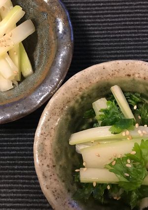 セロリの旨漬け-レシピのメイン写真