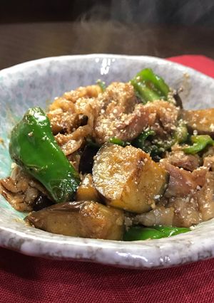 豚肉・茄子・ピーマンの味噌塩麹炒め-レシピのメイン写真