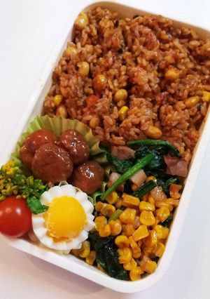 お弁当(2/17)ドライカレー-レシピのメイン写真