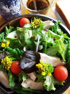 菜の花 とりハム グリーンサラダ-レシピのメイン写真